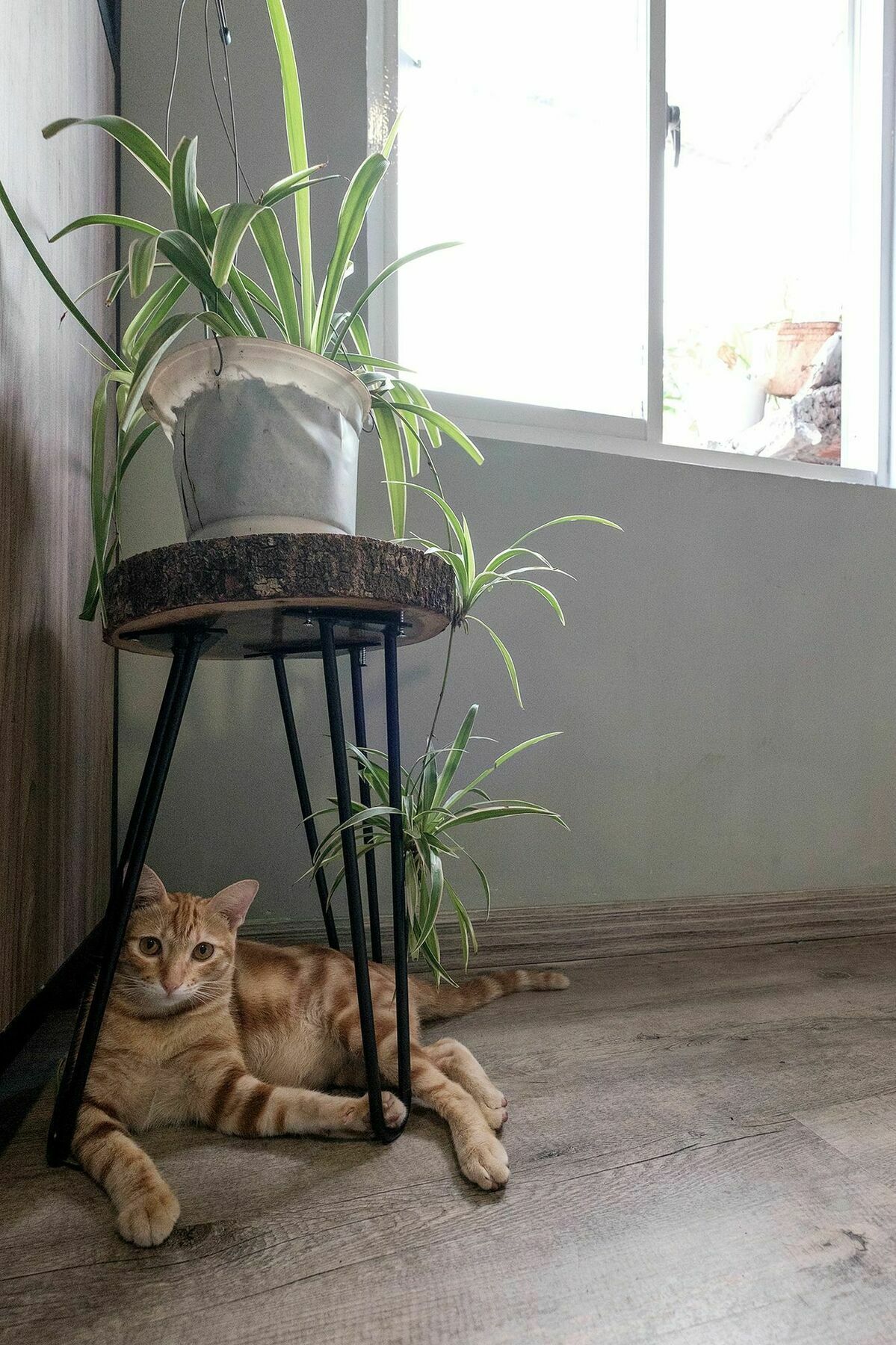 Saigon Inner Home Хошимин Экстерьер фото